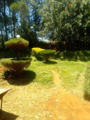a garden with twoiaries and a path in the grass at JA STEP in Nairobi