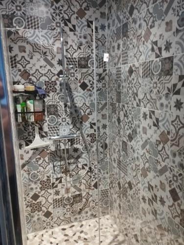 La salle de bains est pourvue d'une douche et d'un mur en carrelage. dans l'établissement Ancienne Grange Landaise, à Brocas