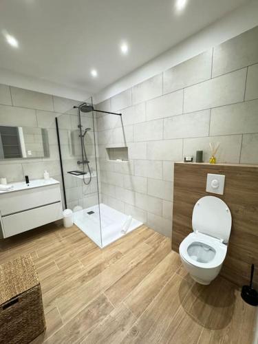 une salle de bain avec toilettes, douche et lavabo dans l'établissement Appartement neuf bas de villa 1, à Furiani