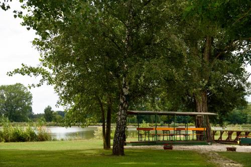 Un refugio para picnic bajo un árbol junto a un lago. en Vízitündér Pihenőpark Apartmanok, en Újhartyán