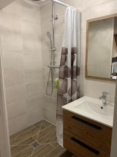 a bathroom with a sink and a shower at Studio ardéchois in Quintenas