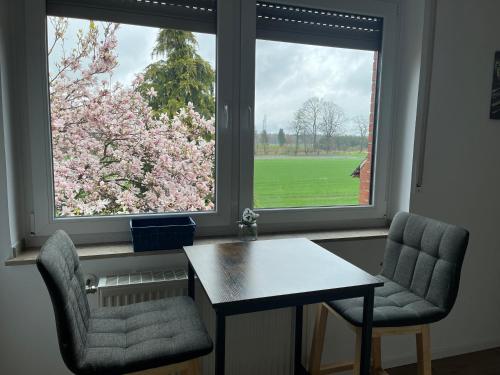 a room with two chairs and a table and two windows at Wunderschöne Ferienwohnung mit Balkon auf dem Bauernhof in Greven