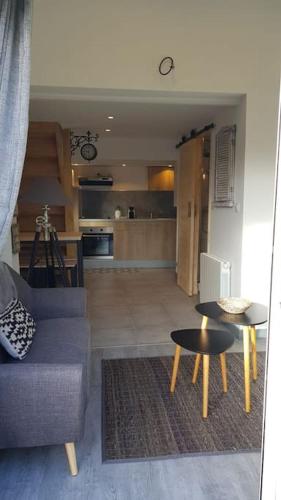 Il comprend un salon avec un canapé et des tables ainsi qu'une cuisine. dans l'établissement T1 bis climatimatisé -Agosta Plage- 10 min à pied, à Albitreccia