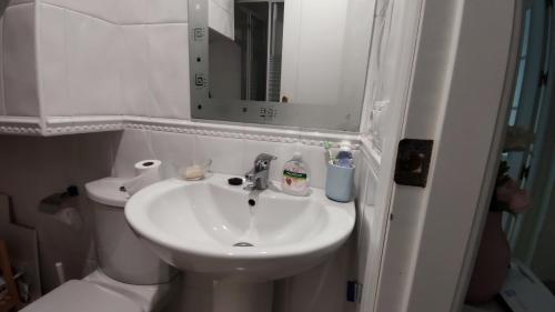uma casa de banho com um lavatório, um WC e um espelho. em Tahona em Carmona