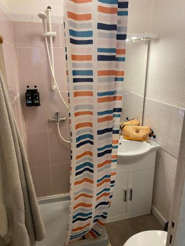 a bathroom with a shower curtain next to a toilet at Studio en plein centre des Vans in Les Vans