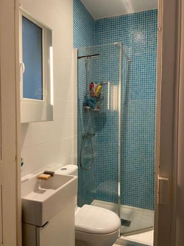 une salle de bain avec une douche, des toilettes et un lavabo dans l'établissement 5 bdr, 10 ppl Georgous Typical Parisian Flat, à Paris