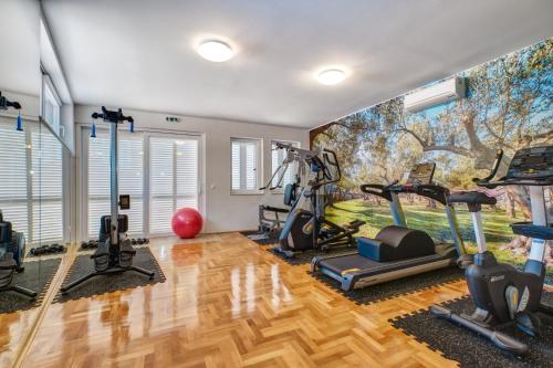 Gallery image of Apartments Alberta in Miholašćica