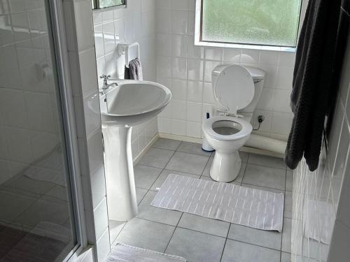 a bathroom with a toilet and a sink and a shower at Beacon Point in Mossel Bay