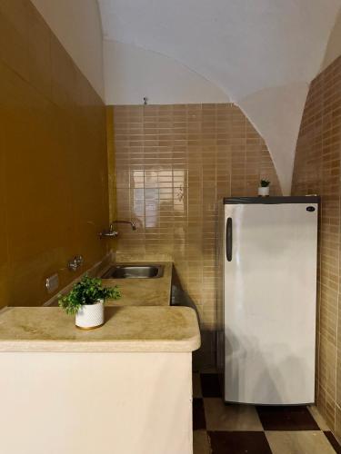 a kitchen with a sink and a refrigerator at 2-single beds beit zeina horse riding in Cairo