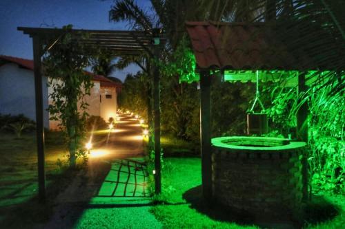 a green glow in the dark garden at night at Parada IT in Japaratinga