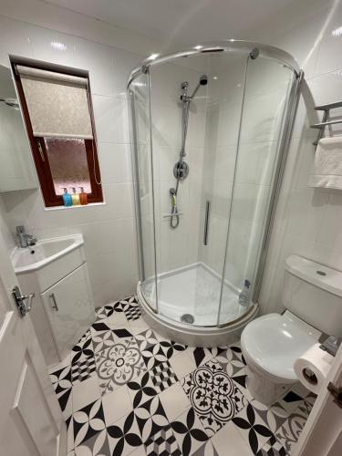 a bathroom with a shower and a toilet at Max's Woodland Lodge in Bridlington