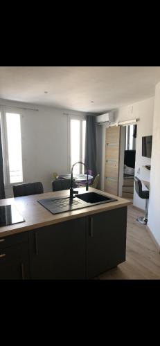 une cuisine avec un évier et un plan de travail dans l'établissement Emplacement exceptionnel, à Antibes