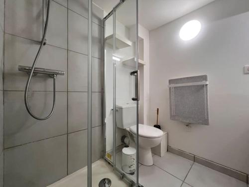 La salle de bains est pourvue de toilettes et d'une cabine de douche en verre. dans l'établissement Appartement 4prsn / Au pied de la Citadelle, à Besançon