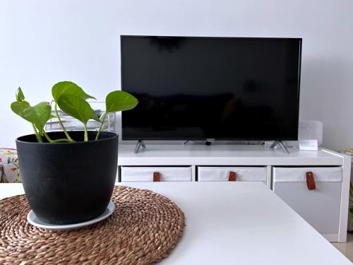 Afbeelding uit fotogalerij van La Pera Jaén in Jaén