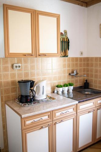 a kitchen with wooden cabinets and a counter top at Villa Lakeview Paradise in Peštani