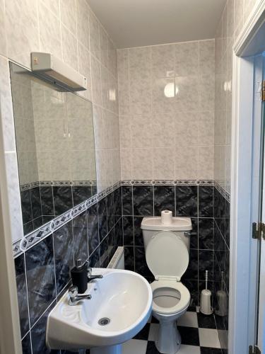 a bathroom with a toilet and a sink at Cosy Room in Shannon
