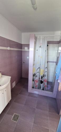Koupelna v ubytování Casa Caraua