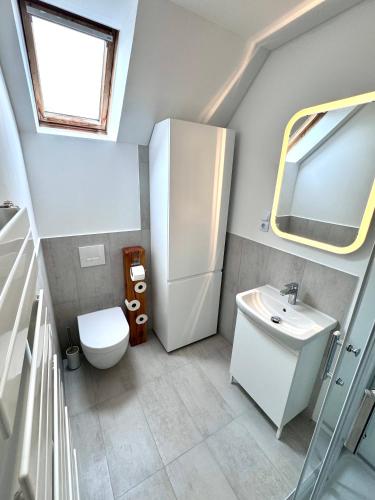 a small bathroom with a toilet and a sink at Große Ferienwohnung in Ostseenähe in Schönberg