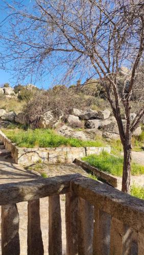 a stone bench with a tree in a field at Alojamientos El Castillo in El Berrueco