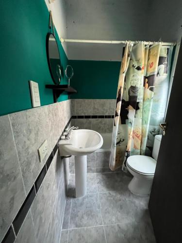 a bathroom with a sink and a toilet at El Cerezzo in Puerto Pirámides