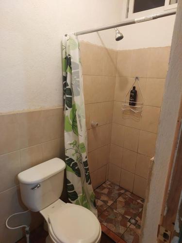 y baño con aseo y ducha. en Cómodo apartamento, en Amatitlán