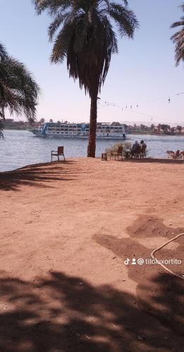 a beach with a bench and a palm tree and water at luxor in Nag` Naqsha