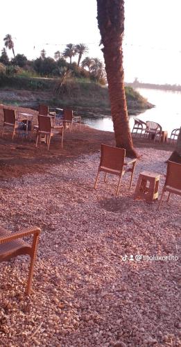 a group of chairs and a tree on a beach at luxor in Nag` Naqsha