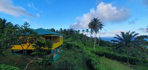 żółty dom na wzgórzu z palmami w obiekcie Casa Mãe - Inn w mieście Principe