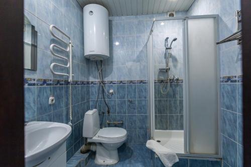 uma casa de banho com um chuveiro, um WC e um lavatório. em Алексік em Truskavets