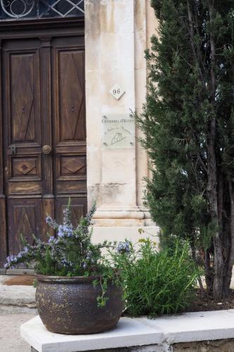 Chambres d'Hôtes Le relais des marmottes في Lagnes: زرع الفخار أمام مبنى به شجرة عيد الميلاد