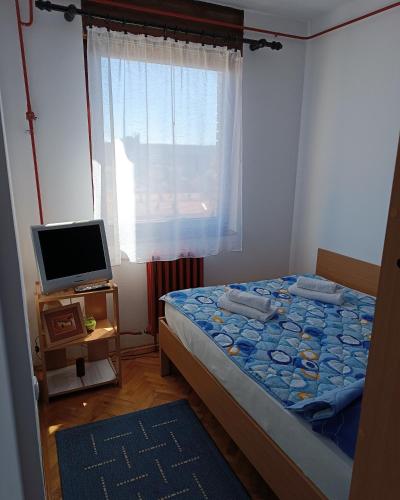a bedroom with a bed and a tv and a window at Apartman MIKA in Zaječar