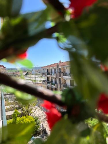 a view of a city from a plant at Seaside Apartment Aliki in Kallithea Halkidikis