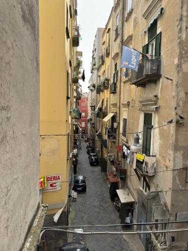 Toledo Relax photo 55