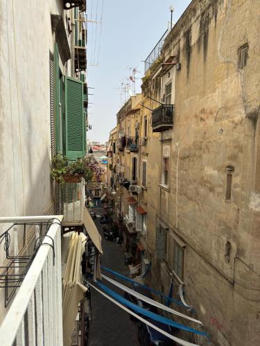 Toledo Relax photo 59