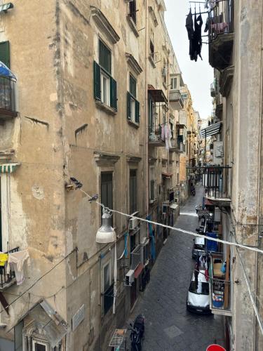 Toledo Relax photo 56