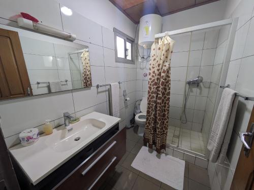 een badkamer met een wastafel, een douche en een toilet bij Foyer du Marin in Douala