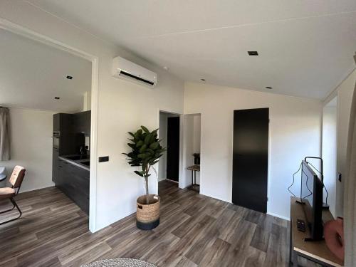 a living room with a potted plant on the floor at Vakantiepark Hertenhorst in Beekbergen