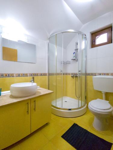 a bathroom with a shower and a sink and a toilet at Casa Bear Azuga in Azuga