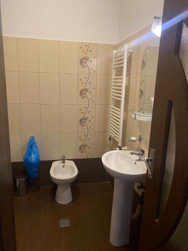 a bathroom with a sink and a toilet at La Strada in Onești