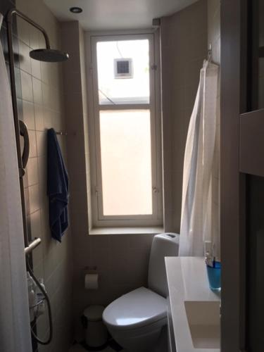 斯文堡的住宿－Bylejlighed i det gamle Svendborg，一间带卫生间和窗户的浴室