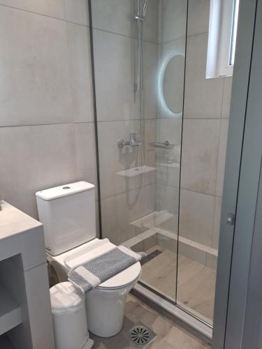 a bathroom with a toilet and a glass shower at Bratis Apartments in Keri