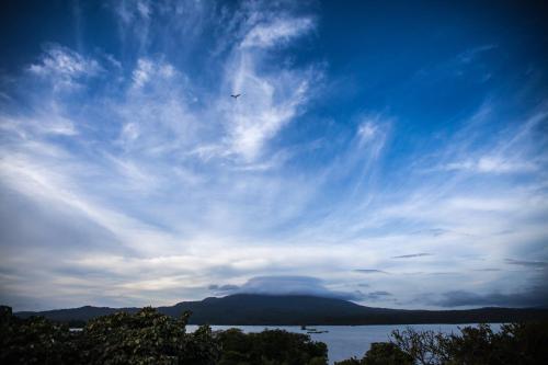 a bird flying in the sky over a body of water at Jicaro Island Lodge Member of the Cayuga Collection in Isletas de Granada