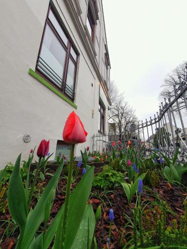 a flower garden in front of a house at Aparthotel B & L in Bremen