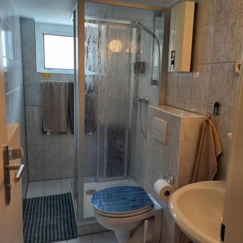 a bathroom with a shower with a toilet and a sink at Zwei-Zimmer-Appartement Essen in Essen