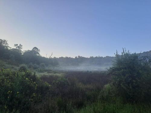 NdaragwaにあるAberdare white camp house kenyaのギャラリーの写真