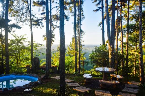 佩諾諾梅的住宿－Cabaña entre las montañas santa cruz Penonomé，享有后院的游泳池和树木美景
