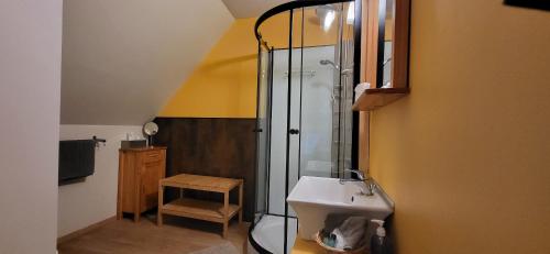 a bathroom with a shower and a sink at B&B Herberg Boerenhol DE MOTE BVBA in Poperinge