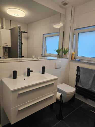 La salle de bains est pourvue d'un lavabo et de toilettes. dans l'établissement FeWo in Holzminden-Zentrum, à Holzminden