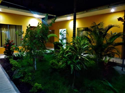 ogród przed domem w nocy w obiekcie RentvistaVerde w mieście Tarapoto