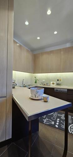 uma cozinha com um balcão com uma tigela em 2SE Apartment em Korçë